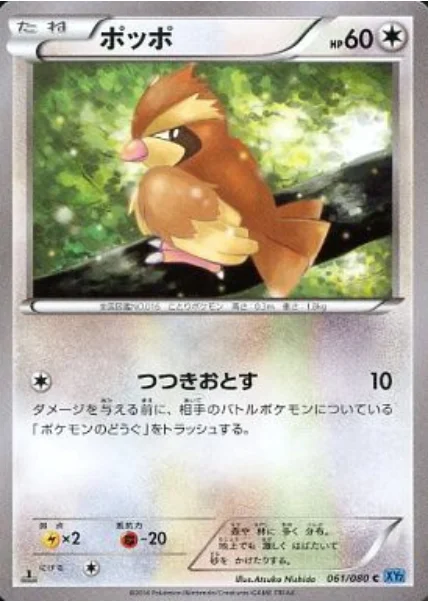 Pidgey — Wild Blaze