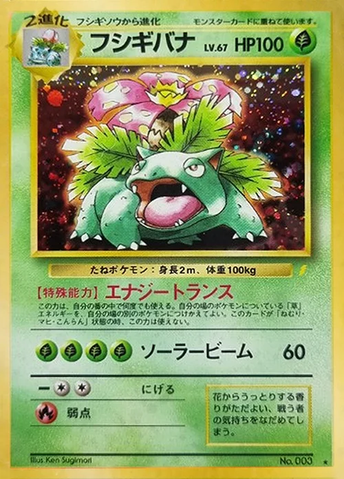 Venusaur Lv.67 — Unnumbered Promos