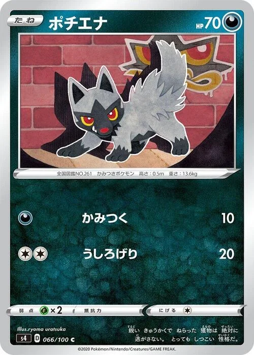Poochyena — Shocking Volt Tackle
