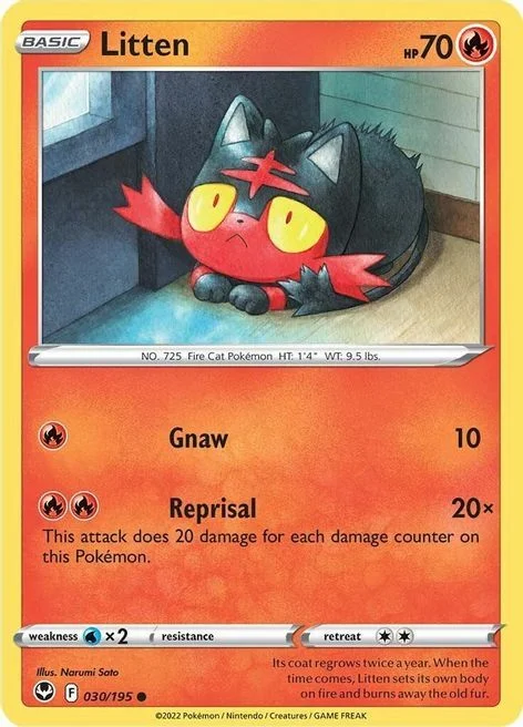 Litten — Silver Tempest