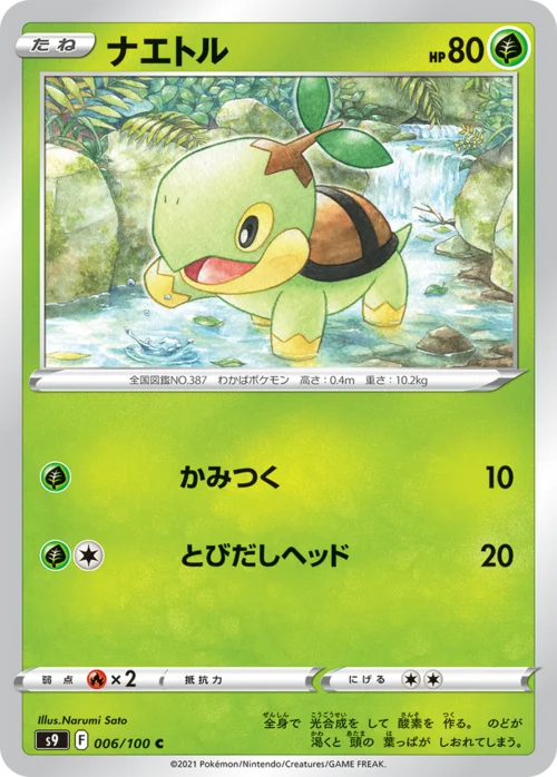 Turtwig — VSTAR Universe