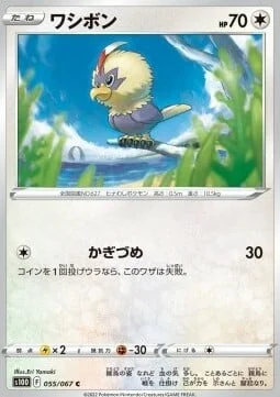 Rufflet — Time Gazer