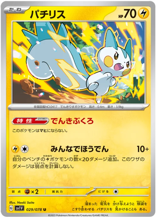 Pachirisu — Violet ex