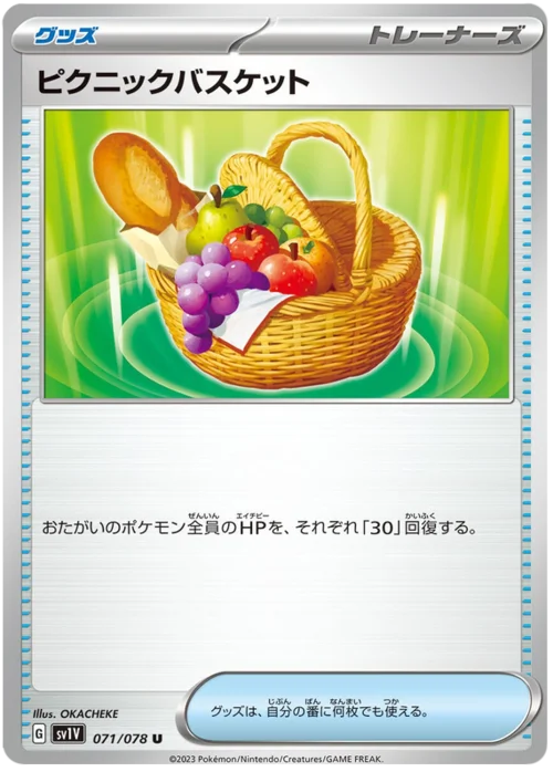 Picnic Basket — Violet ex
