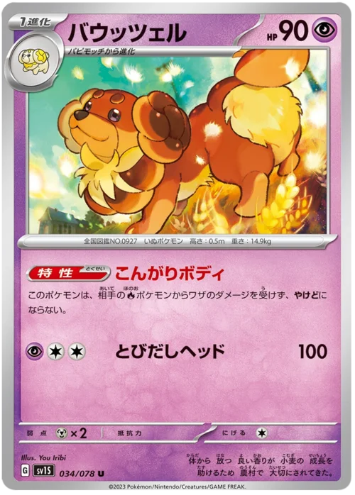 Dachsbun — Scarlet ex