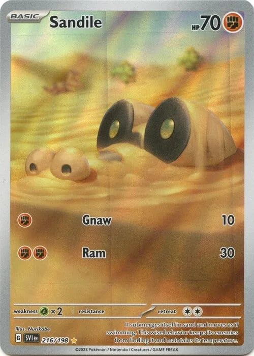 Sandile — Scarlet & Violet