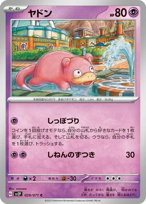 Slowpoke — Snow Hazard