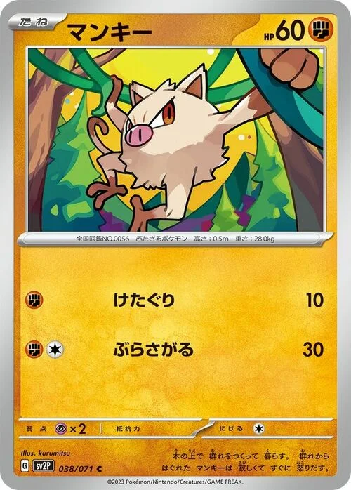 Mankey — Snow Hazard