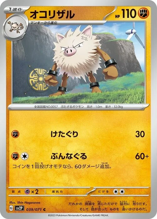 Primeape — Snow Hazard