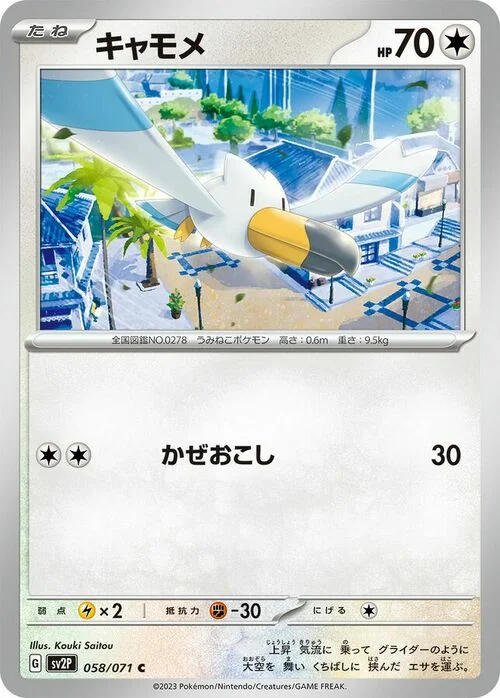 Wingull — Snow Hazard