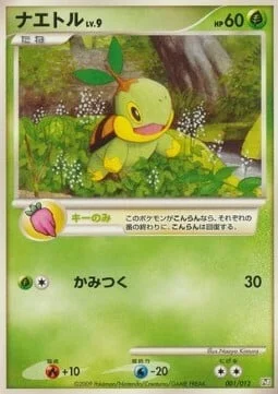 Turtwig Lv.9 — Regigigas LV.X Collection