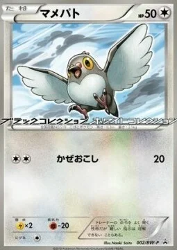 Pidove — BW Promos