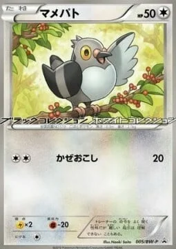 Pidove — BW Promos