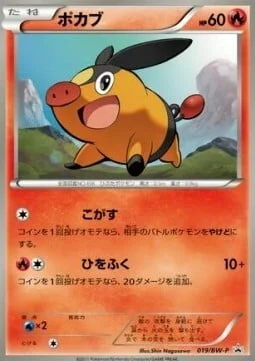 Tepig — BW Promos