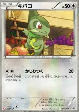 Axew — BW Promos
