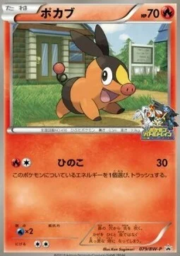 Tepig — BW Promos