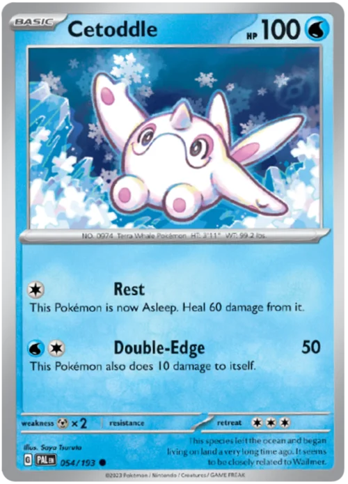 Cetoddle — Paldea Evolved