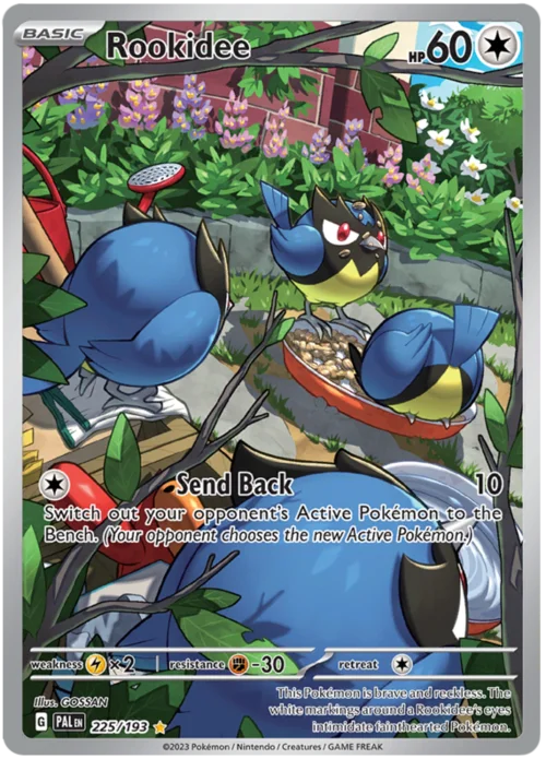 Rookidee — Paldea Evolved