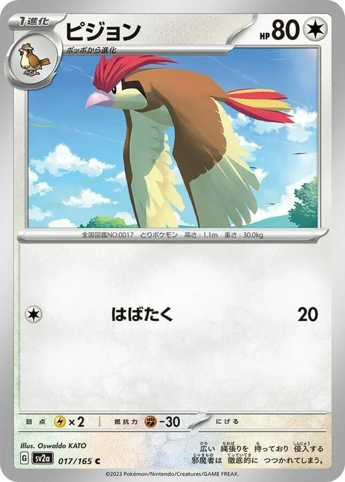 Pidgeotto — Pokémon Card 151