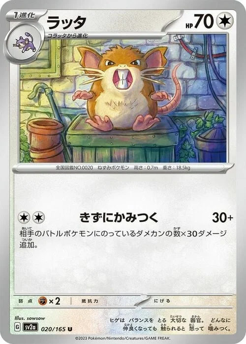 Raticate — Pokémon Card 151