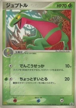 Grovyle — PCG Promos