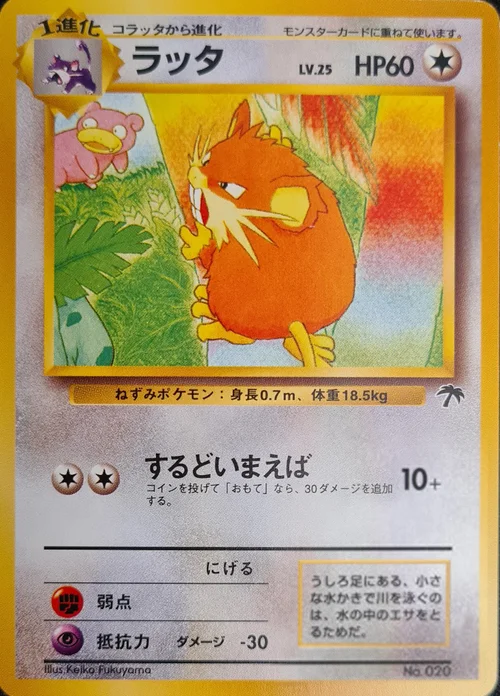 Raticate — Southern Islands JP