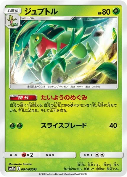 Grovyle — Fairy Rise