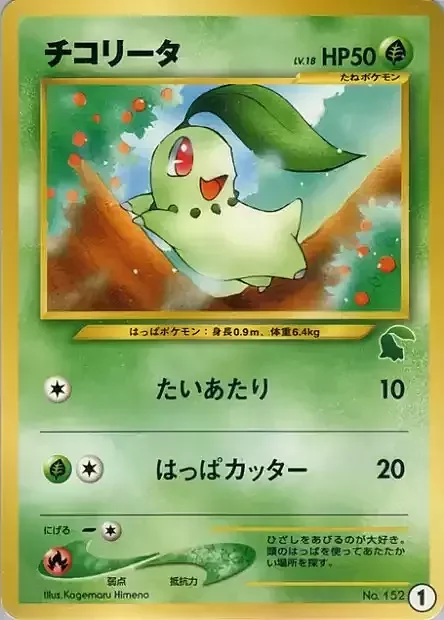 Chikorita Lv.18 — Intro Pack Neo Chikorita
