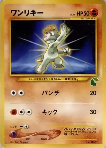 Machop Lv.24 — Intro Pack Neo Chikorita