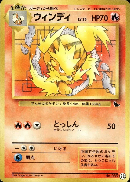 Arcanine — Intro Pack Squirtle