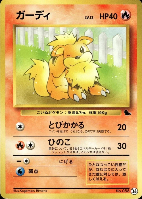 Growlithe — Intro Pack Squirtle