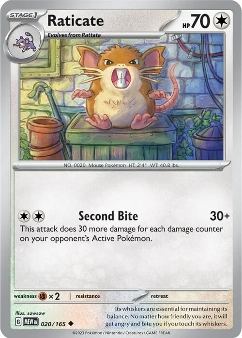 Raticate — 151
