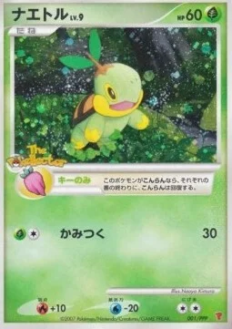 Turtwig Lv.9 — PPP Promos