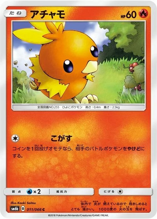 Torchic — Champion Road
