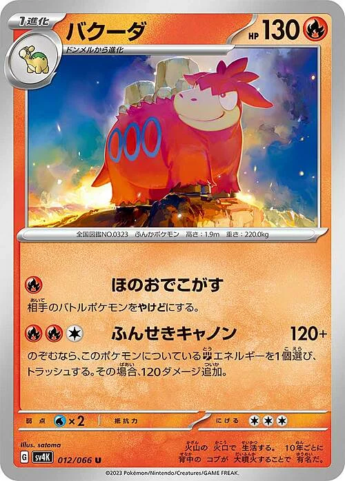 Camerupt — Ancient Roar