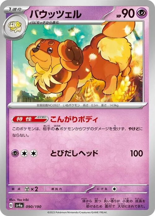 Dachsbun — Shiny Treasure ex