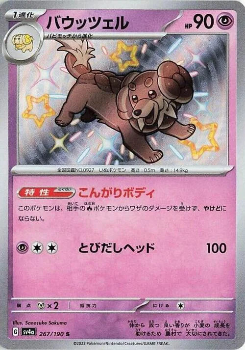 Dachsbun — Shiny Treasure ex