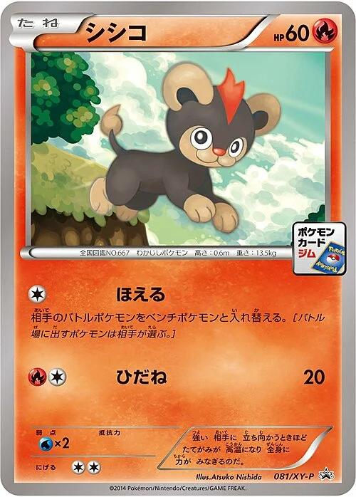 Litleo — XY Promos