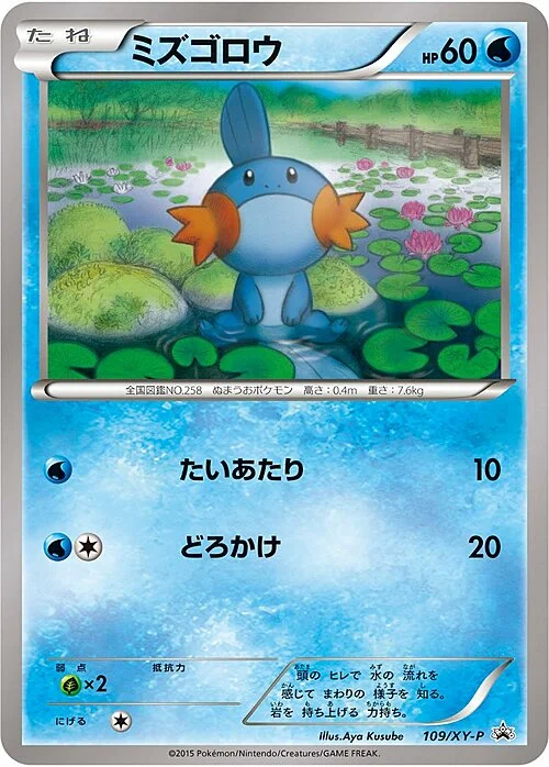 Mudkip — XY Promos