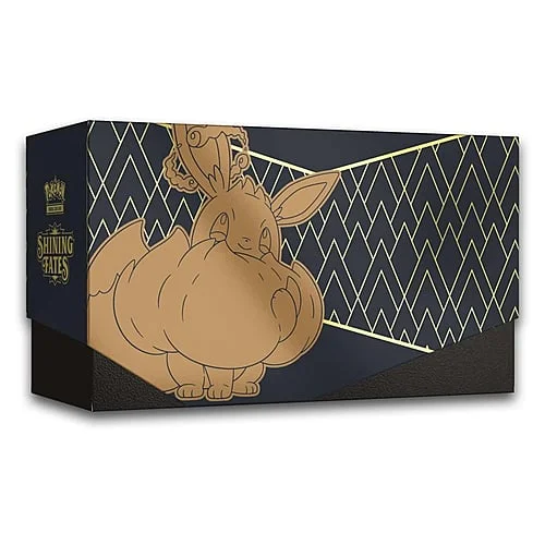 Shining Fates: Empty Elite Trainer Box — Shining Fates