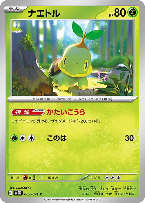 Turtwig — Wild Force