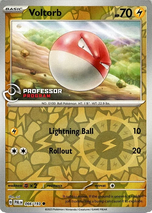 Voltorb — Professor Program