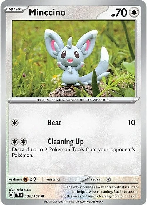 Minccino — Temporal Forces