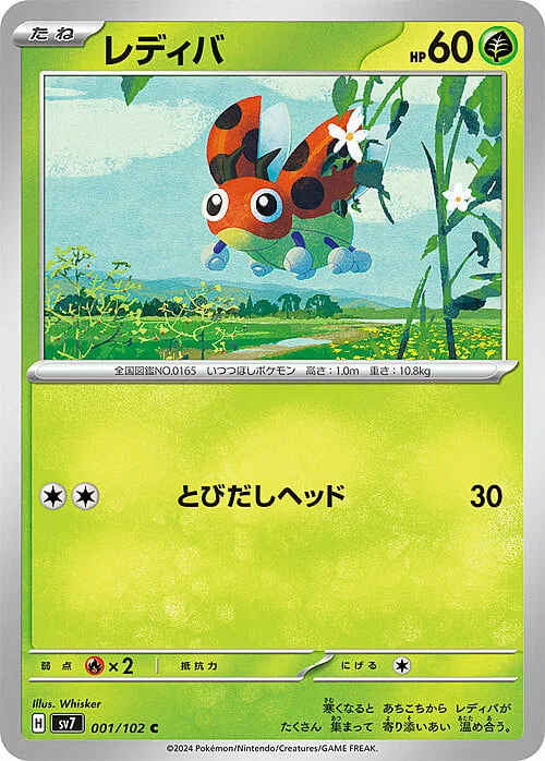 Ledyba — Stellar Miracle