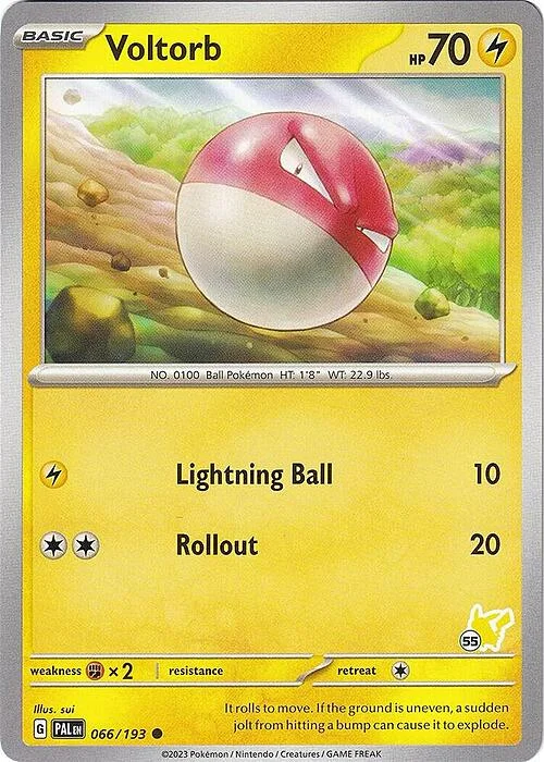 Voltorb — Battle Academy 2024