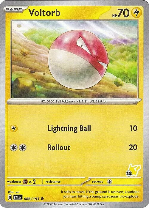 Voltorb — Battle Academy 2024