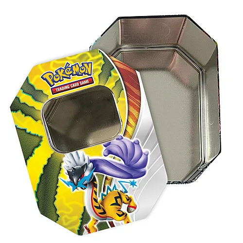 Paradox Destinies Tins: Raging Bolt ex Empty Tin — Scarlet & Violet Products