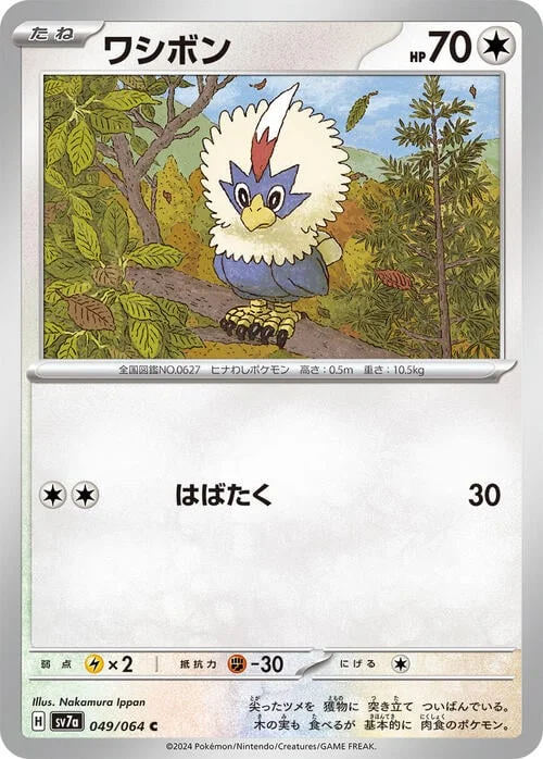 Rufflet — Paradise Dragona