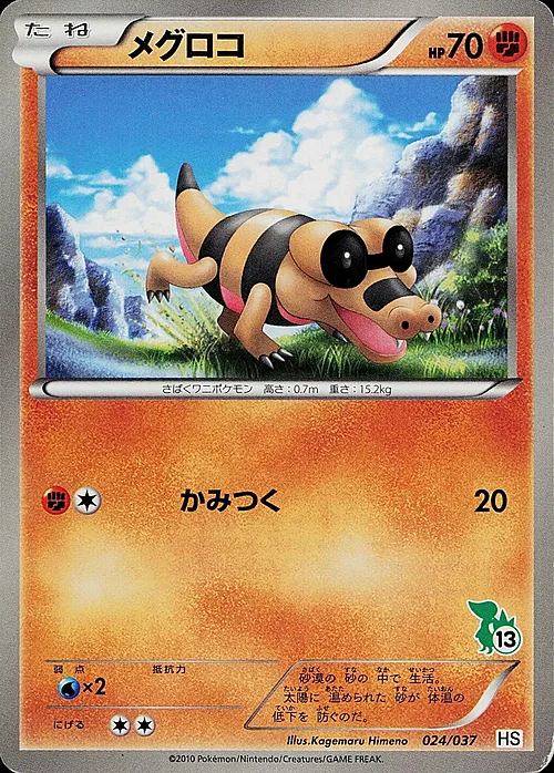 Sandile — Beginning Set