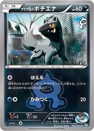 Team Aqua's Poochyena — Magma Gang VS Aqua Gang: Double Crisis